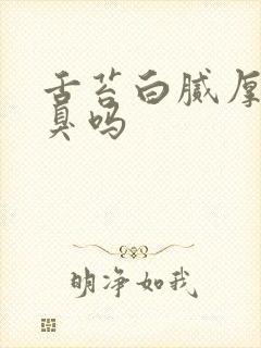 舌苔白腻厚会口臭吗