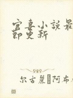 官妻小说最新章节更新