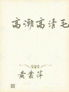 高潮高清毛片