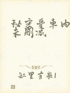 秘密爱车内床戏未删减