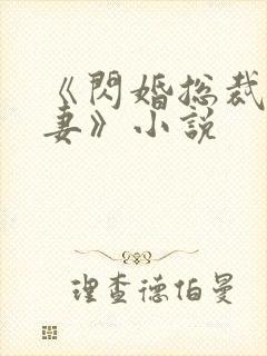 《闪婚总裁契约妻》小说