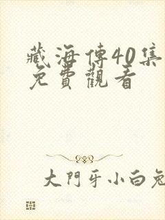 藏海传40集全免费观看