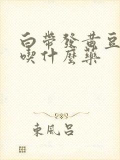 白带发黄豆腐渣吃什么药