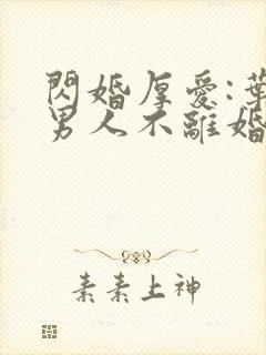 闪婚厚爱:叶家男人不离婚全文阅读免费