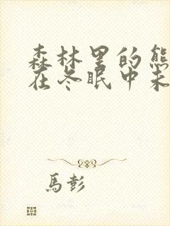 森林里的熊先生在冬眠中未删减版