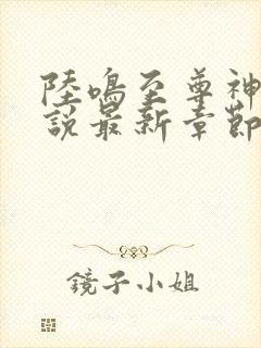 陆鸣至尊神殿小说最新章节