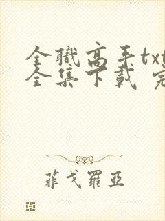 全职高手txt全集下载 完整版