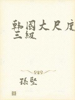 韩国大尺度最美三级