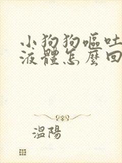 小狗狗呕吐黄色液体怎么回事