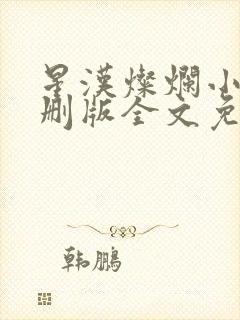 星汉灿烂小说未删版全文免费阅读