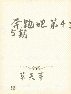 奔跑吧第4季第5期封面