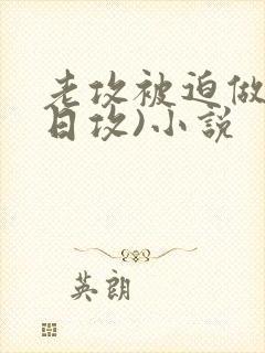 老攻被迫做零(日攻)小说