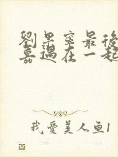 刘果宁最后和孙嘉遇在一起吗