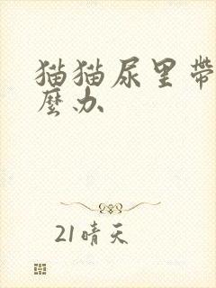 猫猫尿里带血怎么办