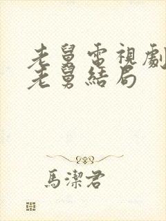 老舅电视剧最后老舅结局