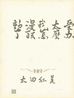 动漫我太受欢迎了该怎么办封面