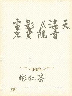 电影《满天星》免费观看