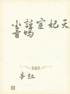 小说宦妃天下好看吗封面