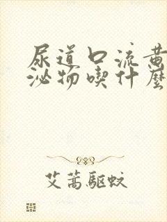 尿道口流黄色分泌物吃什么药