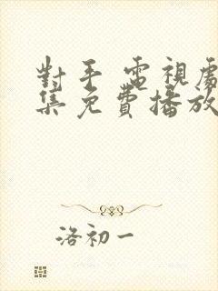 对手 电视剧全集免费播放