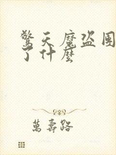 惊天魔盗团1讲了什么