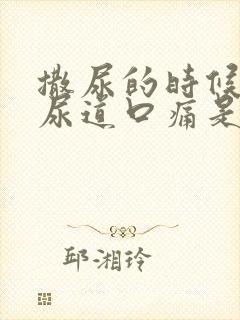 撒尿的时候男性尿道口痛是什么原因封面