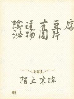 阴道有豆腐渣分泌物图片