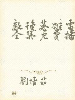 敌后英雄电视剧全集免费播放