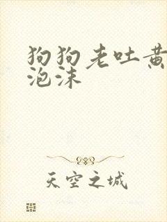 狗狗老吐黄水带泡沫