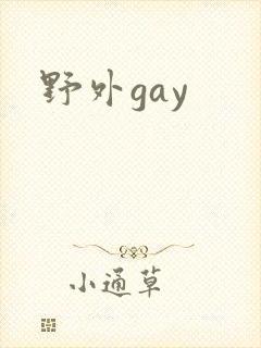 野外gay