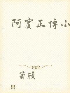 阿宾正传小说