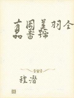 有冈美羽全部作品番号封面