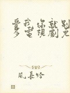 爱我你就别想太多电视剧免费观看全集封面