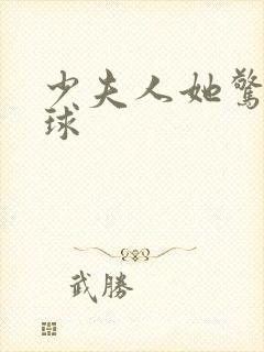 少夫人她惊艳全球