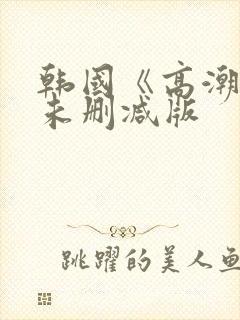 韩国《高潮3》未删减版