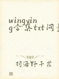 wingying合集txt网盘