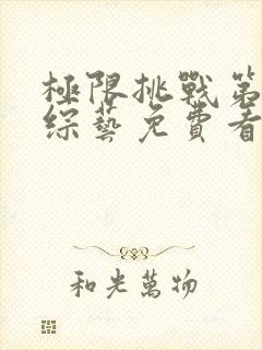 极限挑战第二季综艺免费看