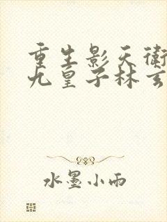 重生影天卫之主九皇子林玄