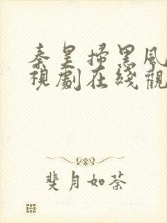 秦昊扫黑风暴电视剧在线观看免费完整版封面