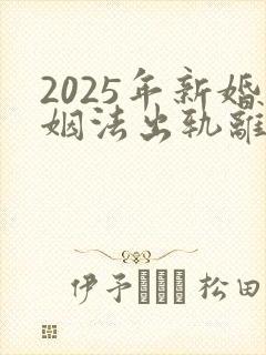 2025年新婚姻法出轨离婚净身出户吗