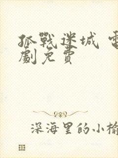 孤战迷城 电视剧免费