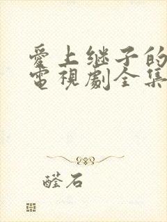 爱上继子的母亲电视剧全集