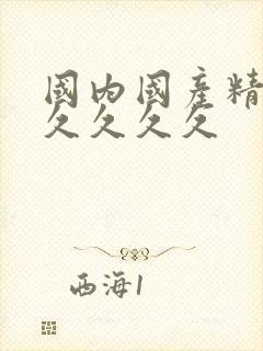 国内国产精品久久久久久封面