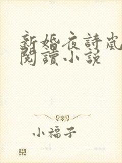 新婚夜诗岚全文阅读小说