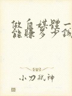 做自媒体一个月能赚多少钱