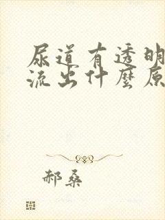 尿道有透明液体流出什么原因封面