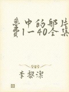 梦中的那片海免费l一40全集