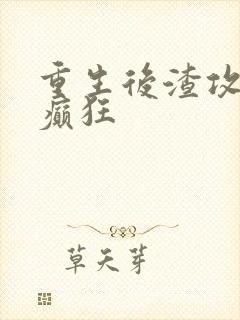 重生后渣攻为我癫狂