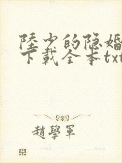 陆少的隐婚罪妻下载全本txt