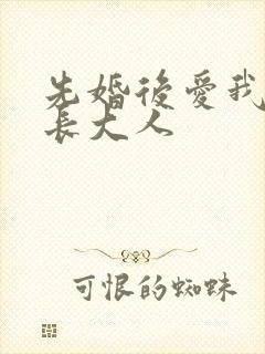 先婚后爱我的市长大人封面